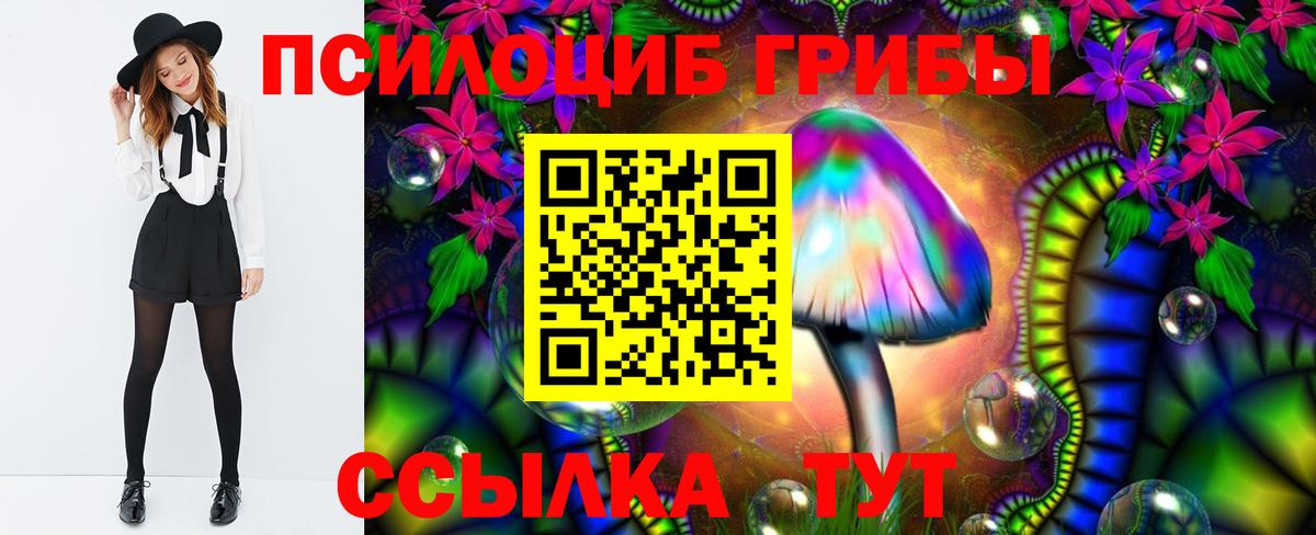 Вольск  Псилоцибиновые грибы мухоморы  Вход с VPN 