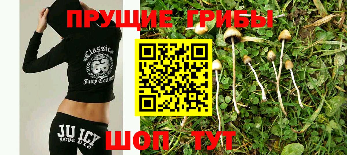 Псилоцибиновые грибы GOLDEN TEACHER Вольск
